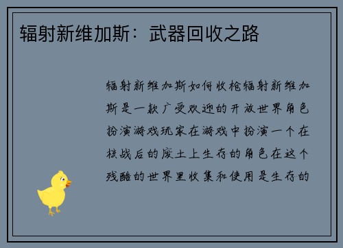 辐射新维加斯：武器回收之路