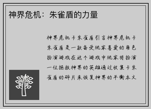 神界危机：朱雀盾的力量